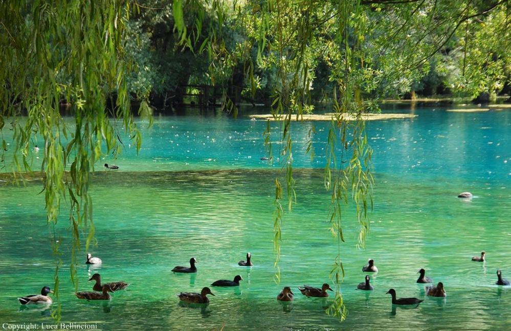Casa Rosamari - Su Lago Di Posta Fibreno, Appartamento Con Camino Экстерьер фото